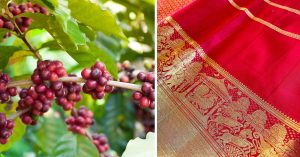 In Pics: A Celebration of Karnataka’s 10 Best-Kept Secrets — From Sugarcane to Silk Sarees