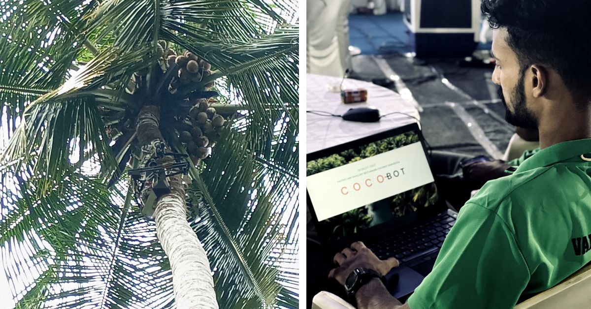Coco-bot climbing the tree.