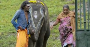 6 Wildlife Documentaries Your Kids Will Love (And Learn From)