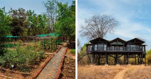 70% Solar-Powered & Plastic-Free, This Madhya Pradesh Jungle Lodge Grows 80% of Its Own Food