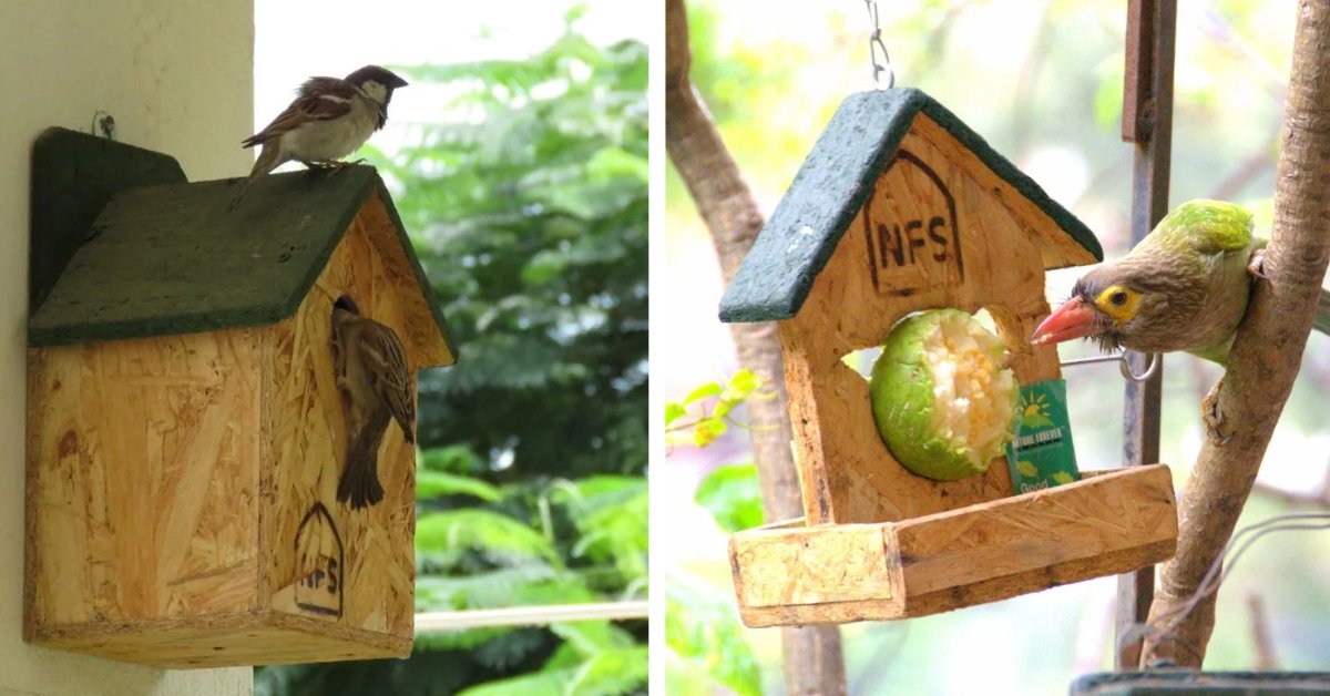 Gifting a bird feeder is a great idea to tickle your child's curiosity.