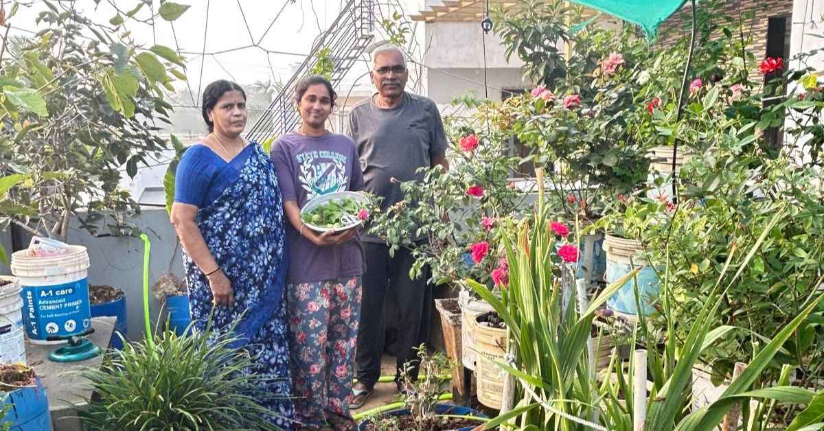 Banker makes paradise on the roof of 200 organic plants after retirement