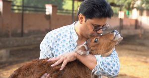 Abandoned For Not Producing Milk, 2500+ Starving Bulls Have Been Given a Home By This Man