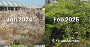 100+ Urban Forests and Growing: The Grassroots Effort Cooling India’s Cities