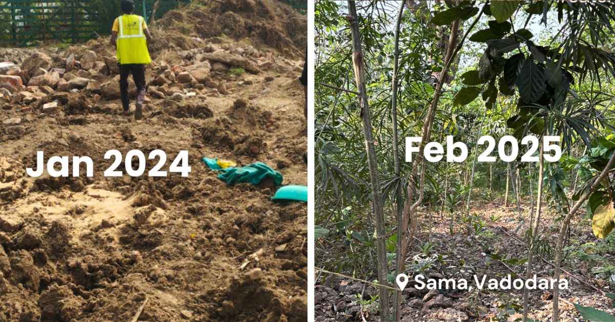 CATCH Foundation's Reforestation Model is Turning Barren Landscapes to ...