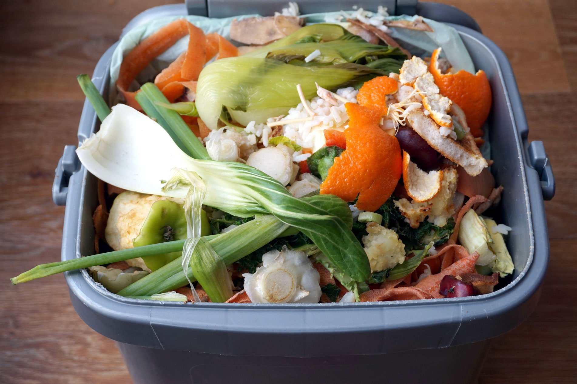 Kitchen waste may seem harmless but not segregating them is a huge contributor to pollution. 