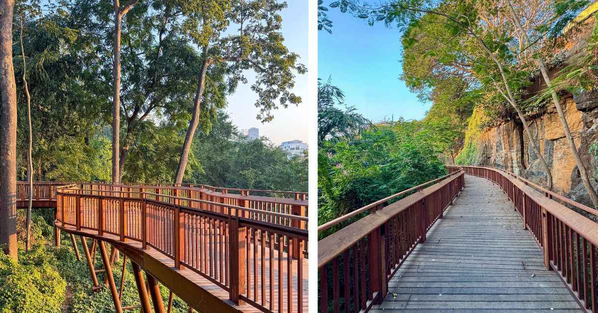 The nature trail is made of wood and supported by steel, sustainability is in the details 
