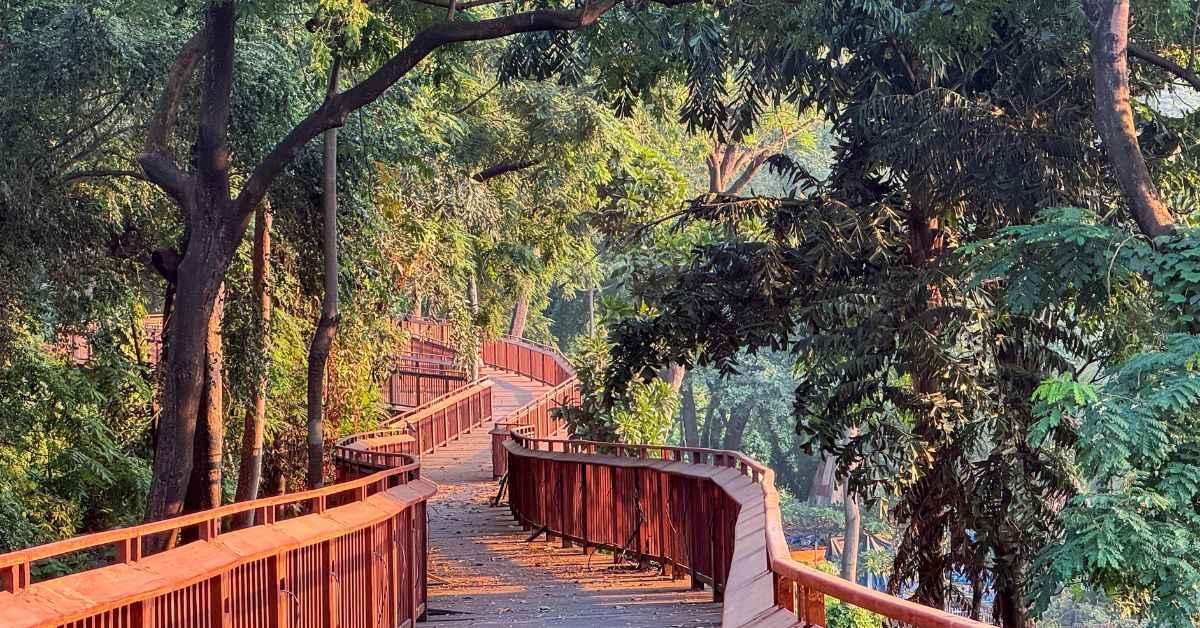 The Malabar Forest is home to numerous species of birds such as the Great Indian Hornbill and parakeets 