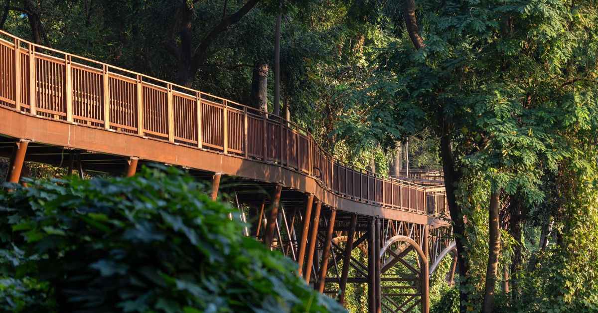 The Malabar Hill walkway is constructed in a way that there is no disruption to the flora and fauna of the nature here 
