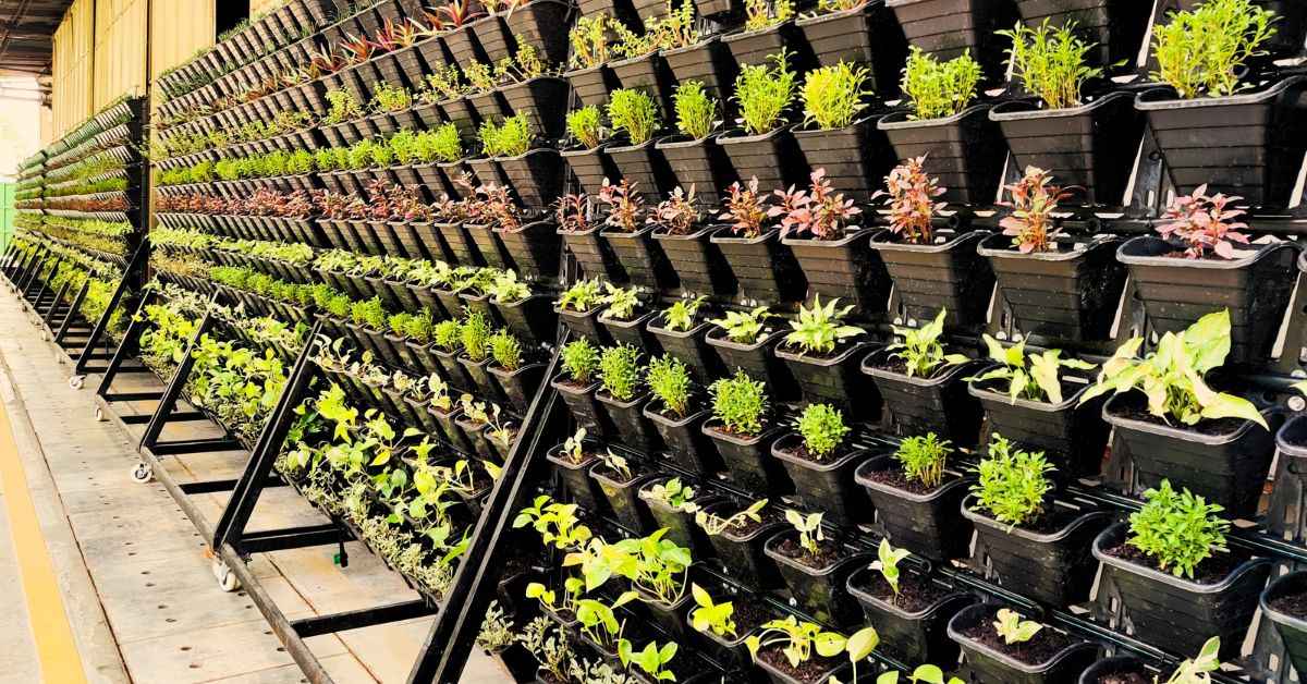 Biogas, Manure, Tiles: This Industry Has Cracked the ‘Zero-Waste’ Code