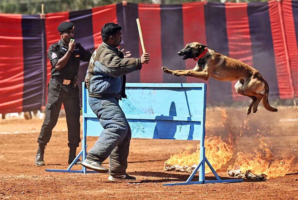 BSF K9 unit India