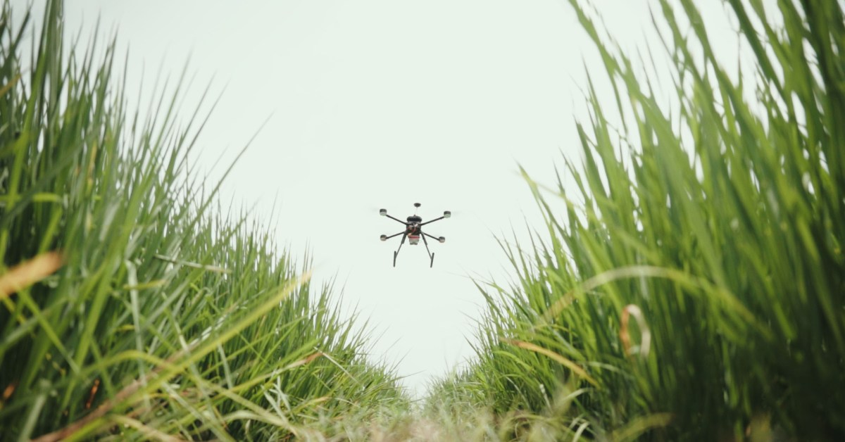 The drones have hyperspectral cameras that detect problems in the crops before any visible signs