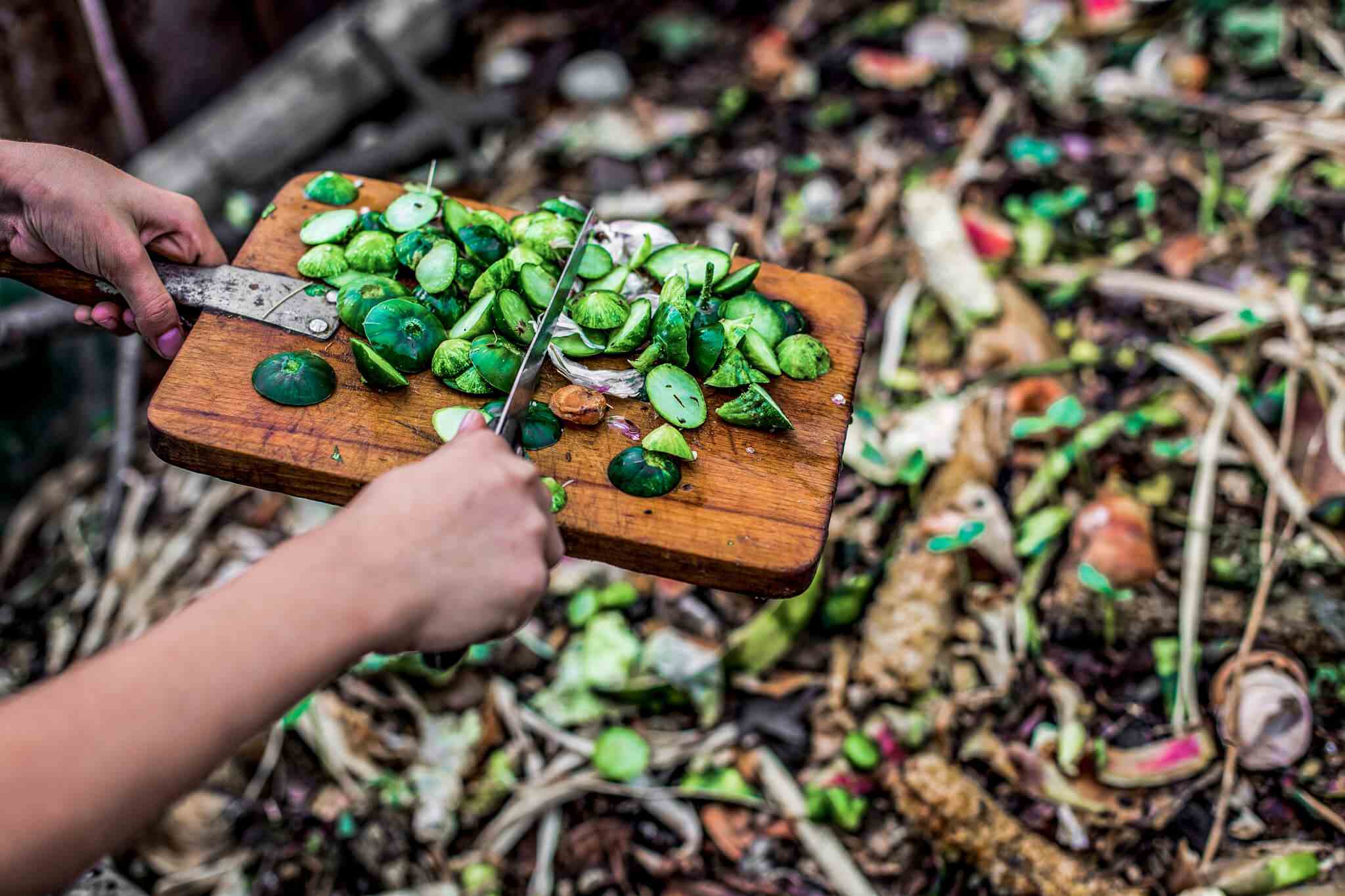 Keep a small container for collecting kitchen scraps like vegetable peels and coffee grounds in zero waste composting; Picture source: KTCHNrebel