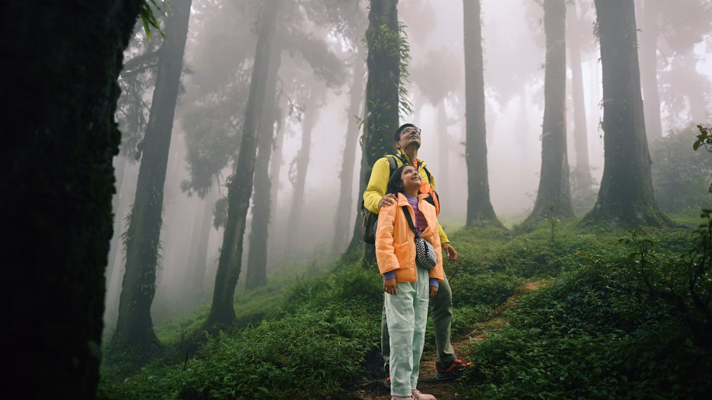 These applications not only enhance children's scientific knowledge but also develop a profound appreciation for their natural environment, laying the foundation for a more sustainable future.