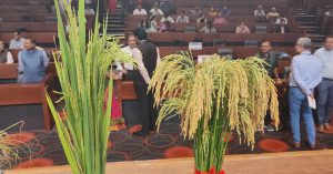 How India’s First Genome-Edited Rice Could Help Farmers Grow More with Less Water and Less Waste