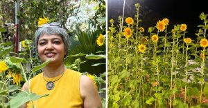 She Gave Away 10000 Sunflower Seeds — This Baker’s Dream Is Turning Chennai Into a Garden City