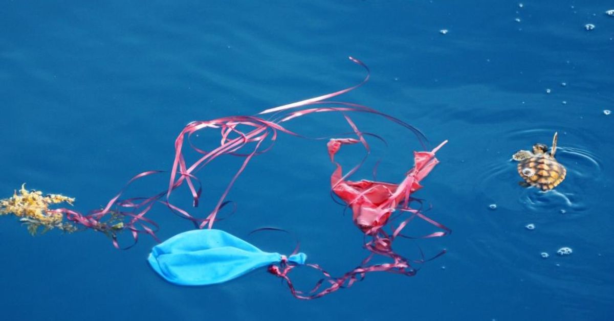 popped balloons floating in the ocean