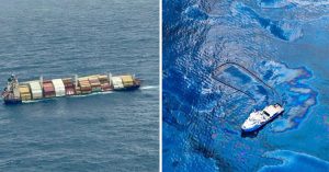 After the Kochi Oil Spill, How Long Will the Arabian Sea Take to Heal?