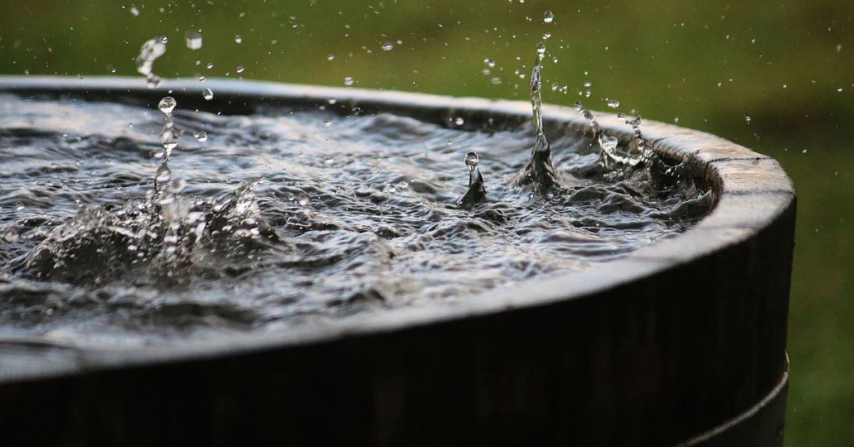 rain drops falling on a drum