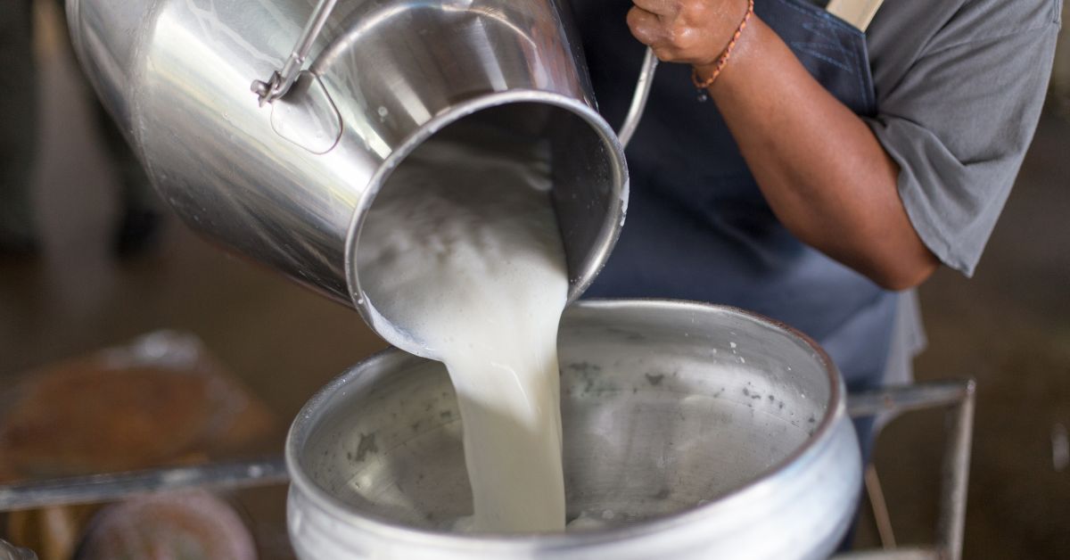 Dairy business in Goa run by a homemaker Amita Naik