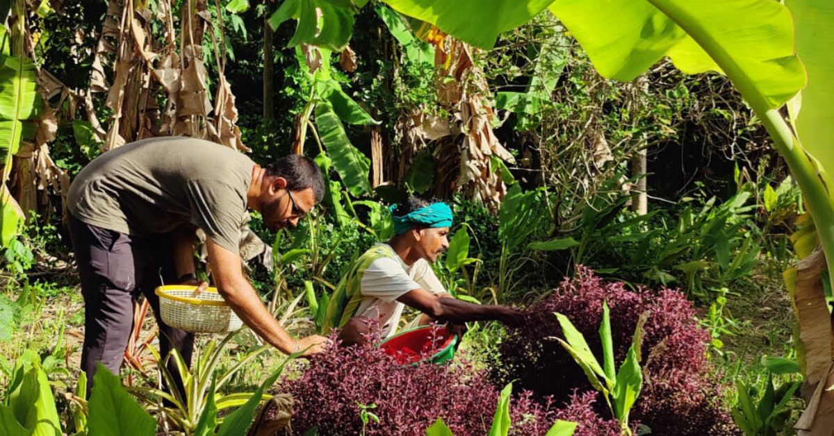 Want to Learn Farming &amp; Live Sustainably? These 5 Tamil Nadu Farms Welcome Volunteers do sex