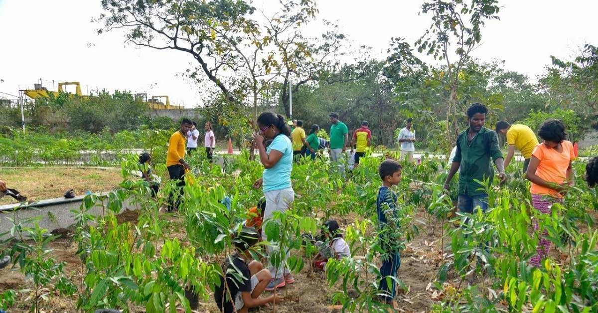 Communitree hosts tree planting drives in schools, colleges and public parks. Picture Credits: Communitree