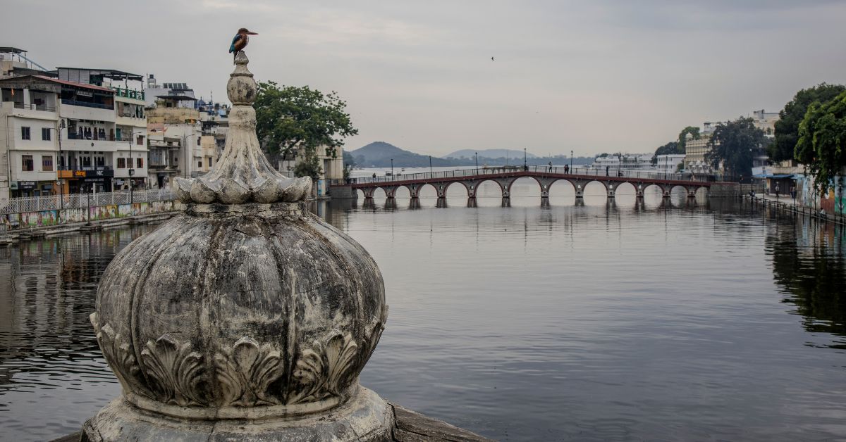 Lake Pichola, framed by Udaipur’s skyline, reflects the city’s lifeline — with an Indian Roller on an ancient arch symbolising the lake’s ecological role.