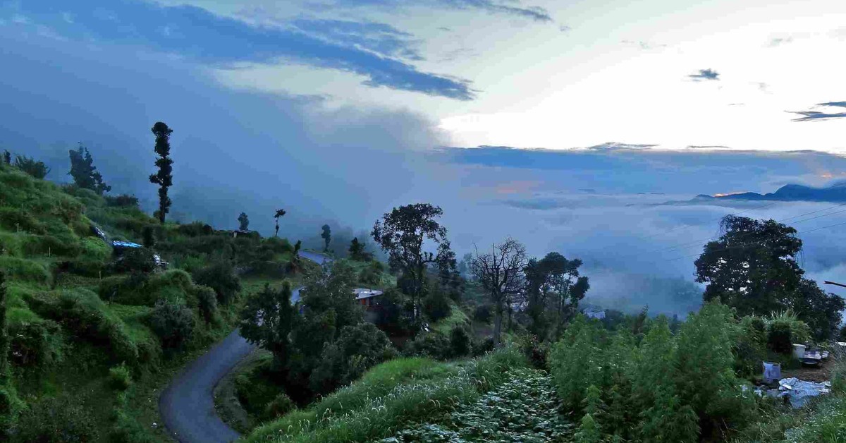 You can take a walk through the oak and pine forests in Dhanachuli; Picture source: The Shooting Star