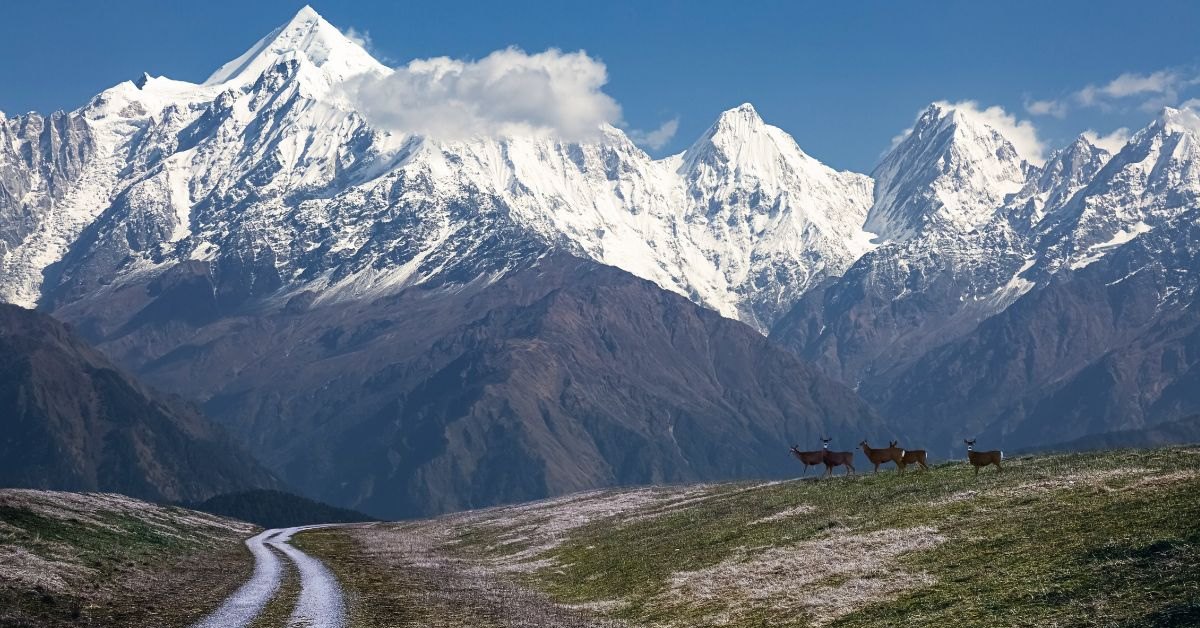 A trekker’s paradise, Munsiyari is the gateway to Milam, Ralam, and Darkot glaciers. Photo source: Curly Tales