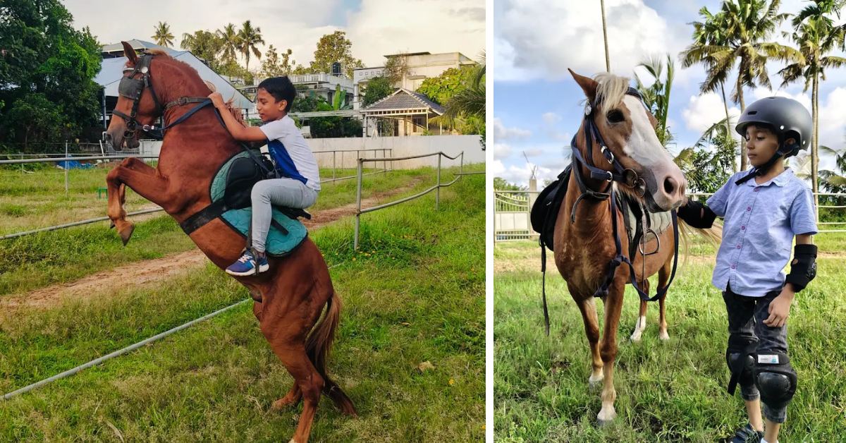 Let kids experience the joy of socialising with animals and discover the beauty of building bonds with them. 