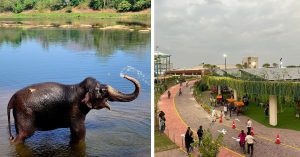 Summer in Ernakulam: 5 Screen-Free Activities Your Kids Will Love (And Learn From!)