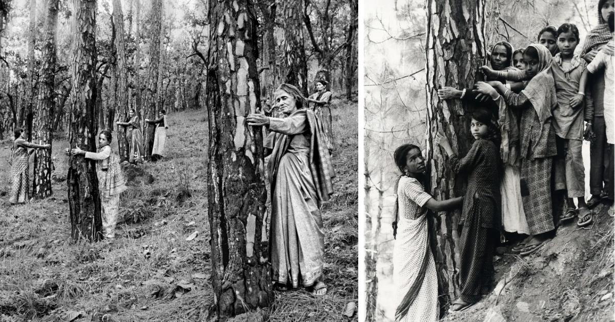 The Chipko Movement began in 1973, when villagers — led by women — embraced trees in Uttarakhand to non-violently resist deforestation.
