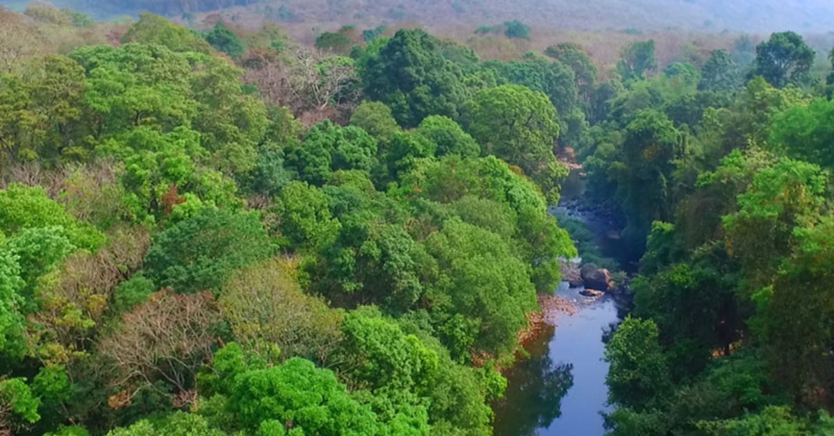 The Silent Valley Movement of the 1970s stopped a dam project in Kerala, protecting one of India’s last tropical rainforests.