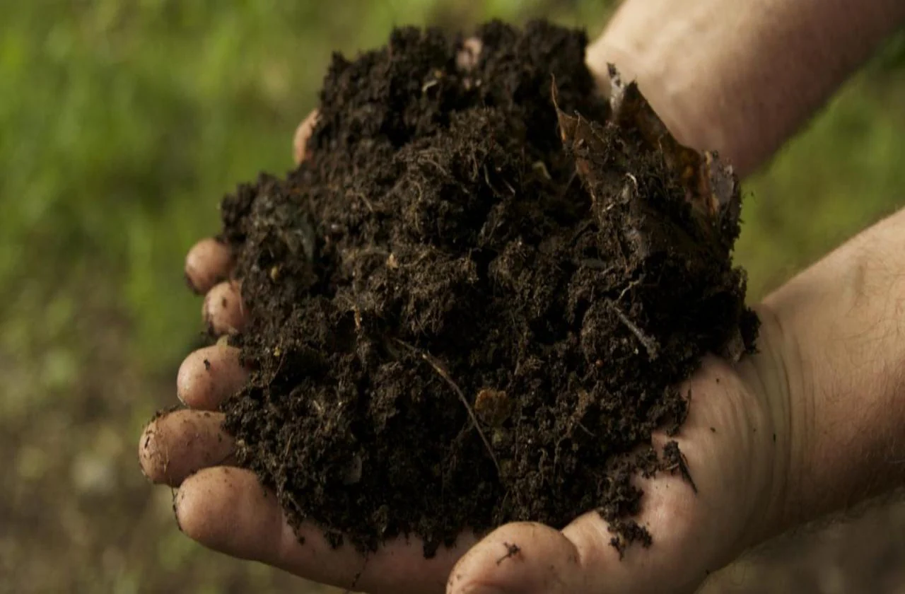 You can mix cow dung with kitchen waste and other organic materials to make the compost; Picture source: GreenDNA