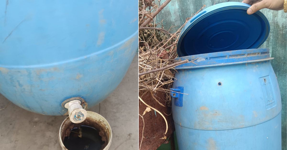Afsana prepares compost using fruit peels, boiled tea leaves, and eggshells, and garden waste.