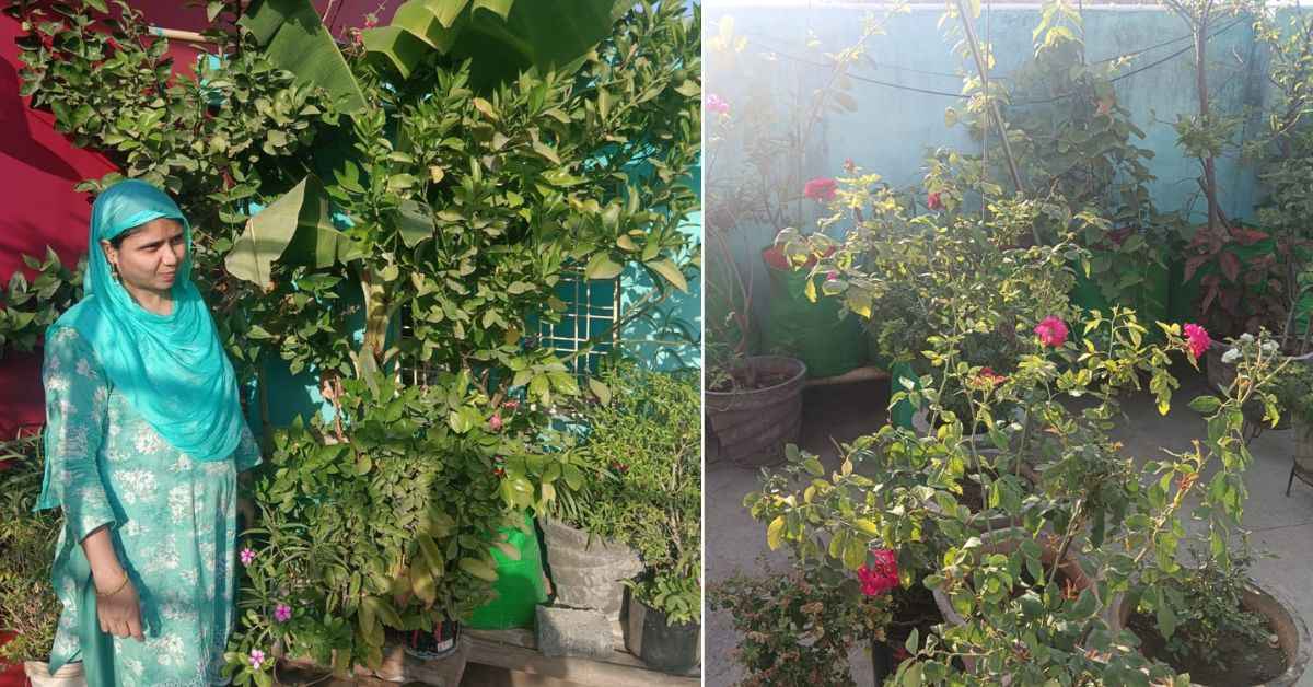 Each plant Afsana nurtured was a homage to her daughter — and that kept her going.