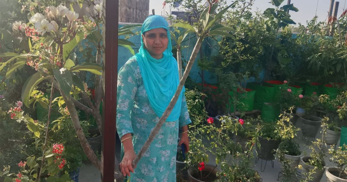 The garden offers Afsana a refuge from the world.