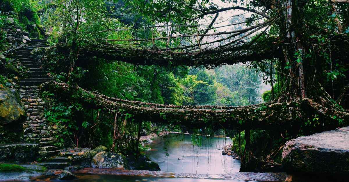 The trek to the Living Root Bridges in Mawlynnong introduces children to nature’s marvels.