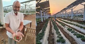Meet The IITian Growing Organic Food Under India’s Largest Agrivoltaic Solar Plant