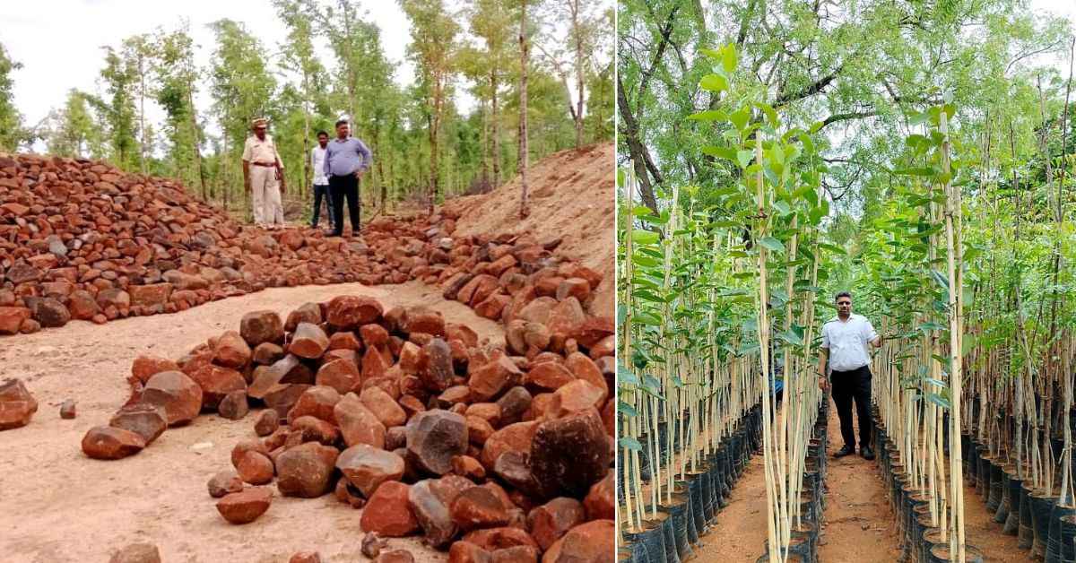 Vineet and his team rejuvenated traditional water bodies, created new ones, and planted trees to protect these ecosystems.