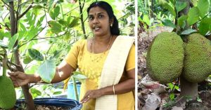 Turn Your Balcony into a Mini Farm: Grow Jackfruit with Your Kids