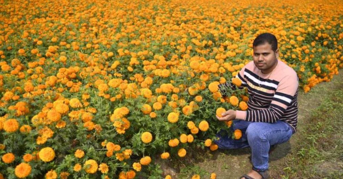 You can try your hand at seed ans sapling production of marigold to earn extra profits
