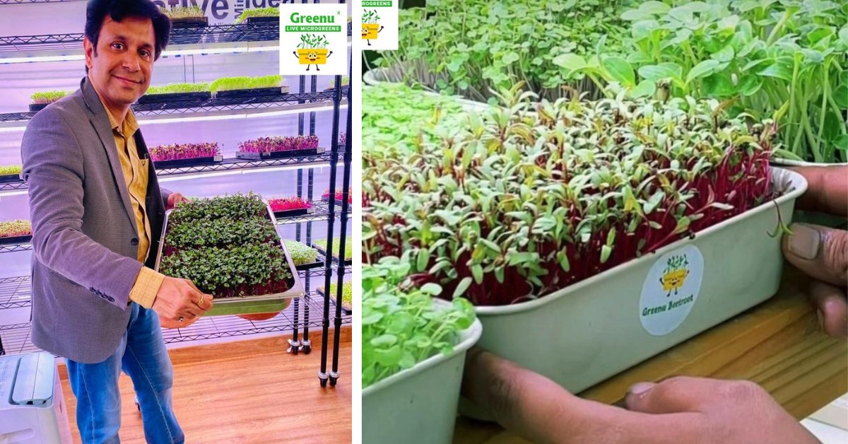 Ex-Pharma Executive Builds Rs 12 Lakh/Month Organic Microgreens Business, Empowers 300+ Farmers Across India