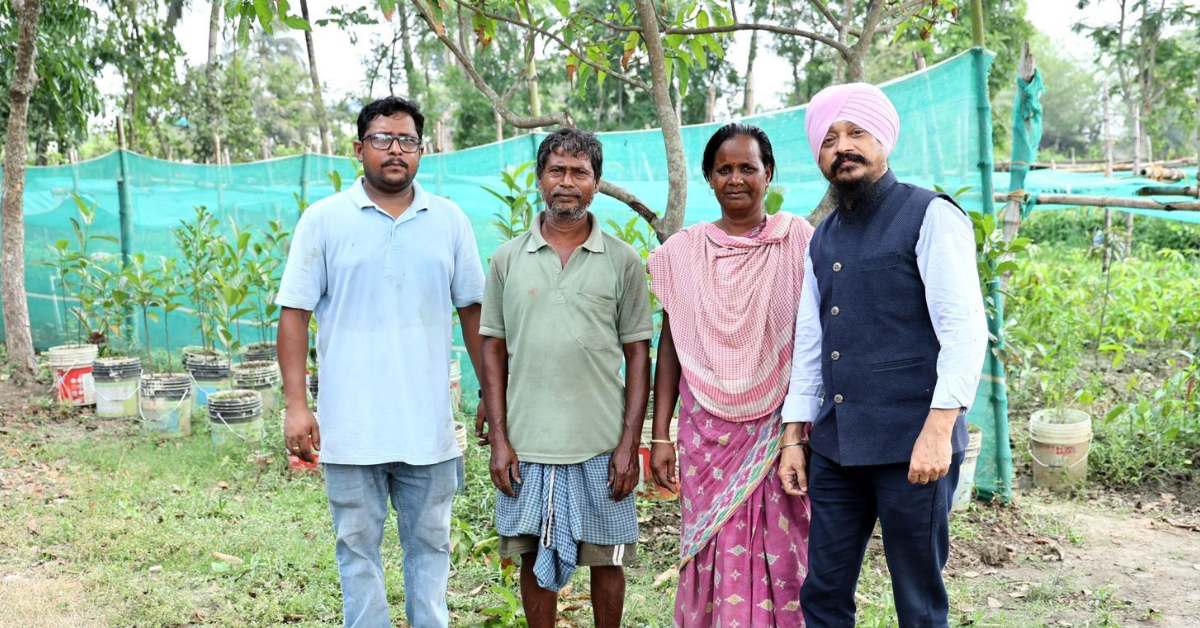 Jasmit distributes the grafted mango saplings to farmers for free so they can increase their income