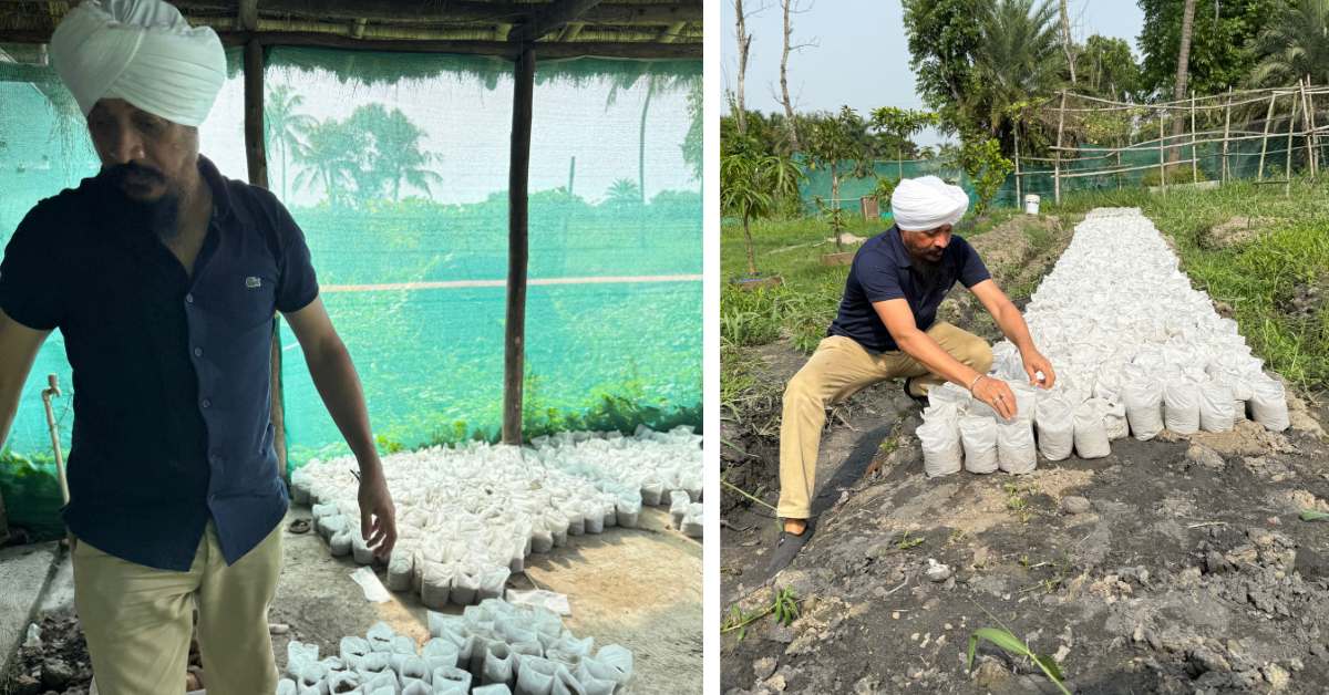 The entrepreneur carries out the germination and grafting process in two main locations in West Bengal, Diamond Harbour and Burdwan