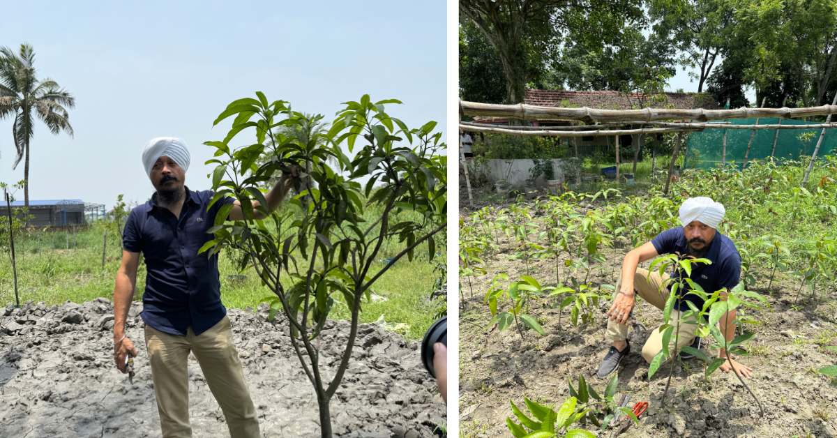 His larger aim is to protect carbon and store it safely in trees