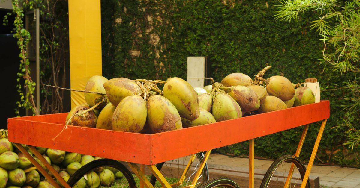 The couple used palm leaf straws for the coconut water that they served to the guests