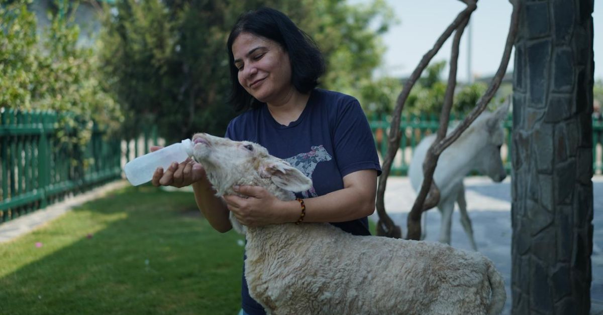 Beyond rescue and rehabilitation, Gauri strives to restore dignity to the lives of animals.