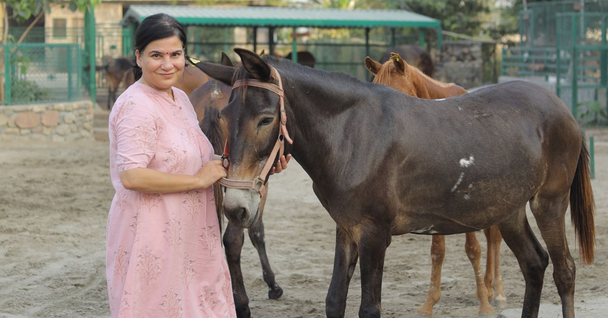 Gauri works to ensure that these animals get the care they deserve.