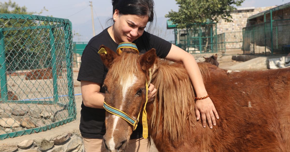 Gauri Maulekhi’s initiatives have rescued thousands of equines from harsh pilgrimage routes.